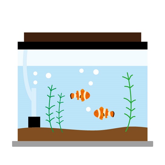 水槽や魚のデータ